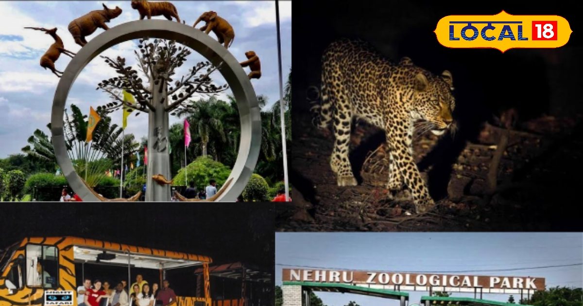 Hyderabad Zoo Park: Hyderabad’s new view … A unique feeling will be found in night safari, roar will echo in the forests
